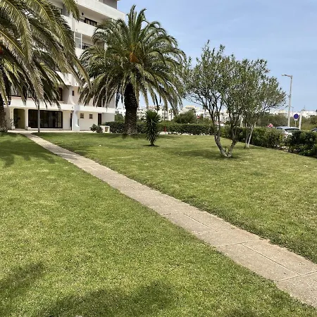 The - Pet Friendly Apartment