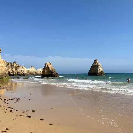 The - Pet Friendly *