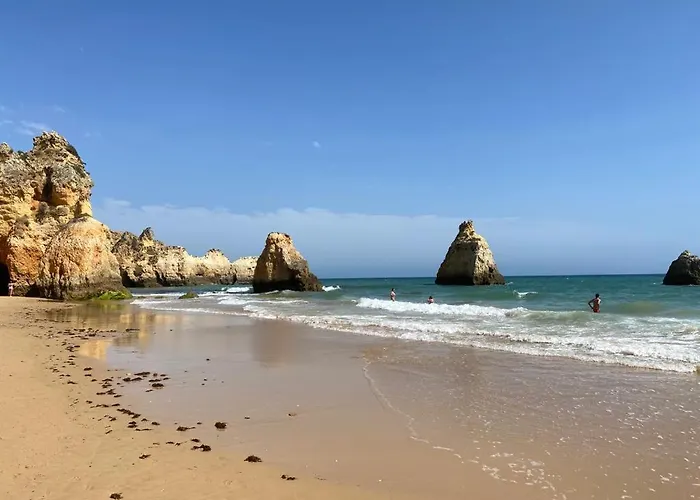 The - Pet Friendly *